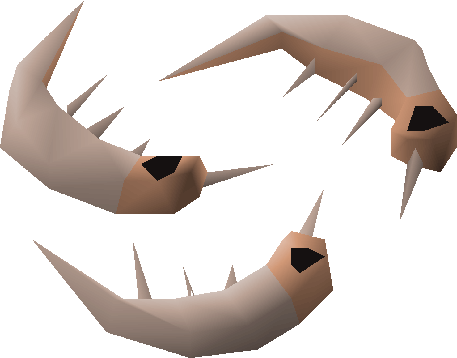 Raw shrimps