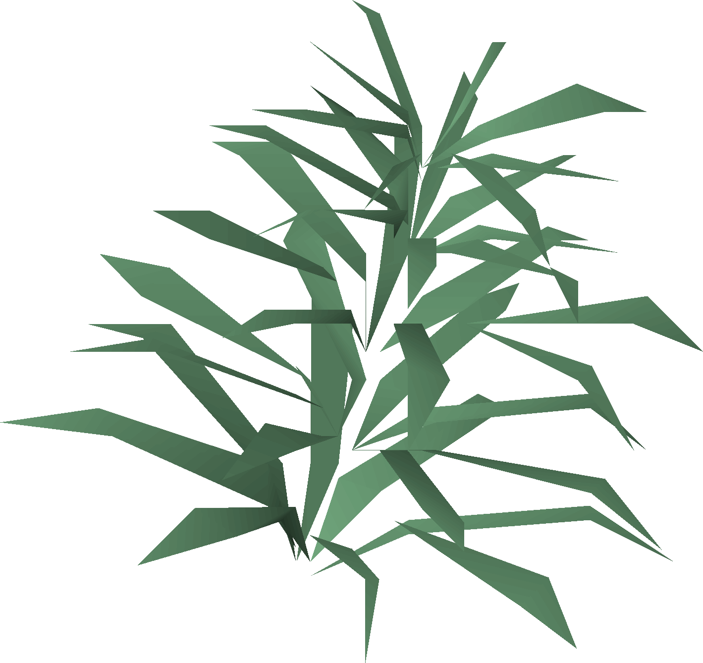 Rosemary