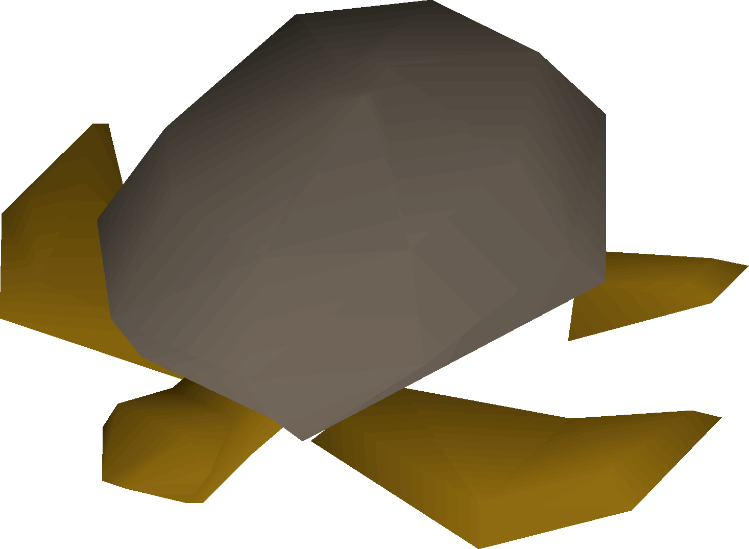 Sea turtle