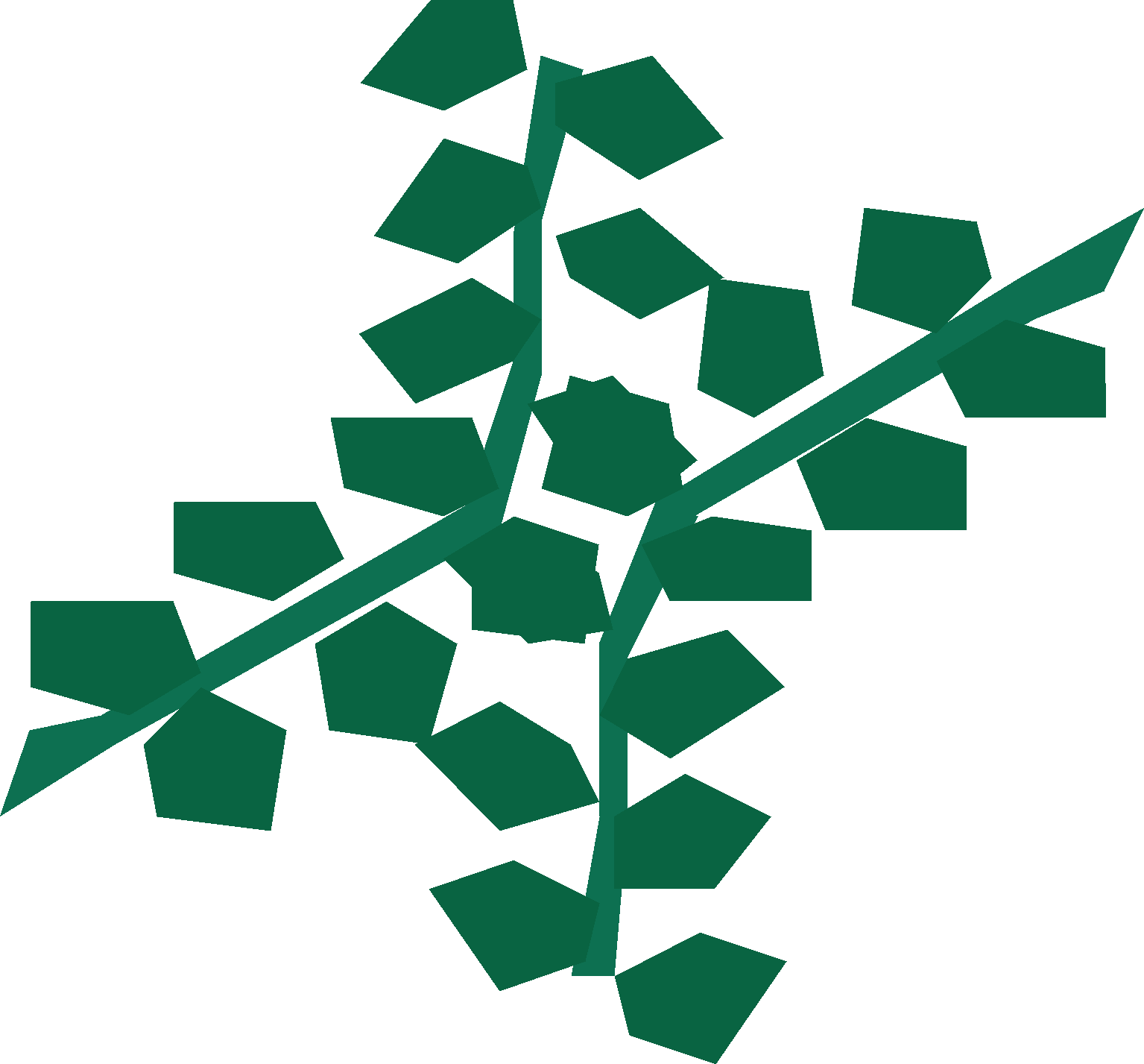 Seaweed