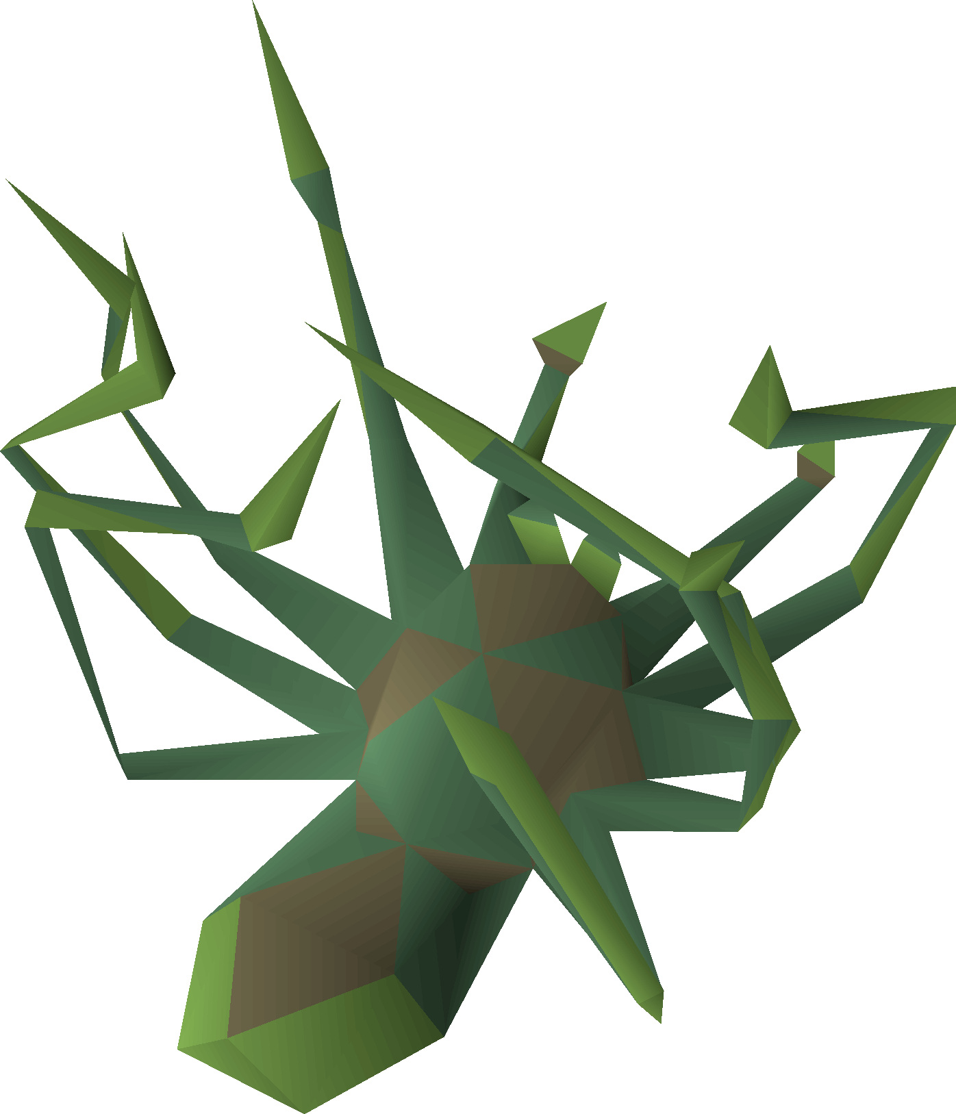 Spider carcass