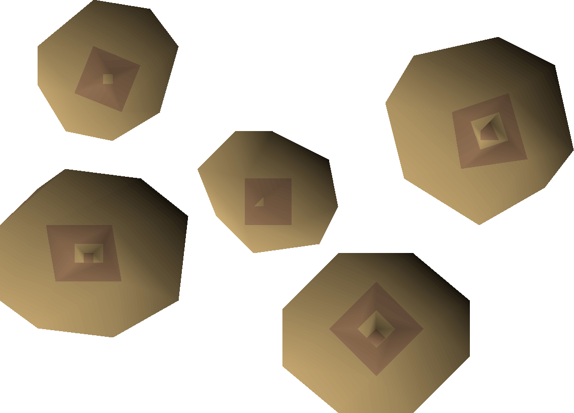 Teak seed