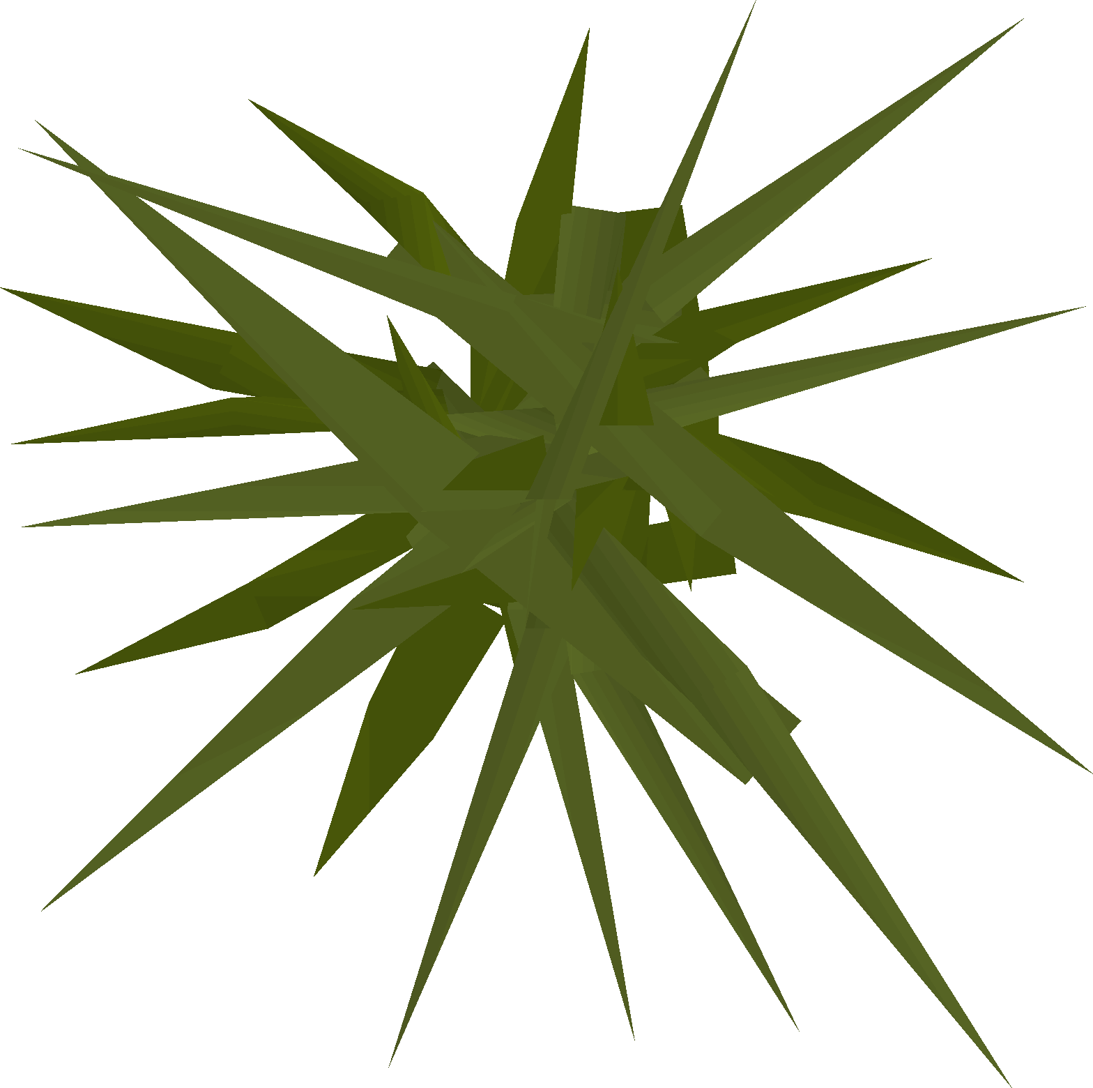 Weeds