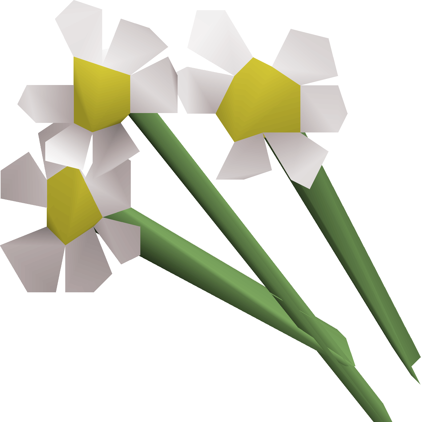 White flowers