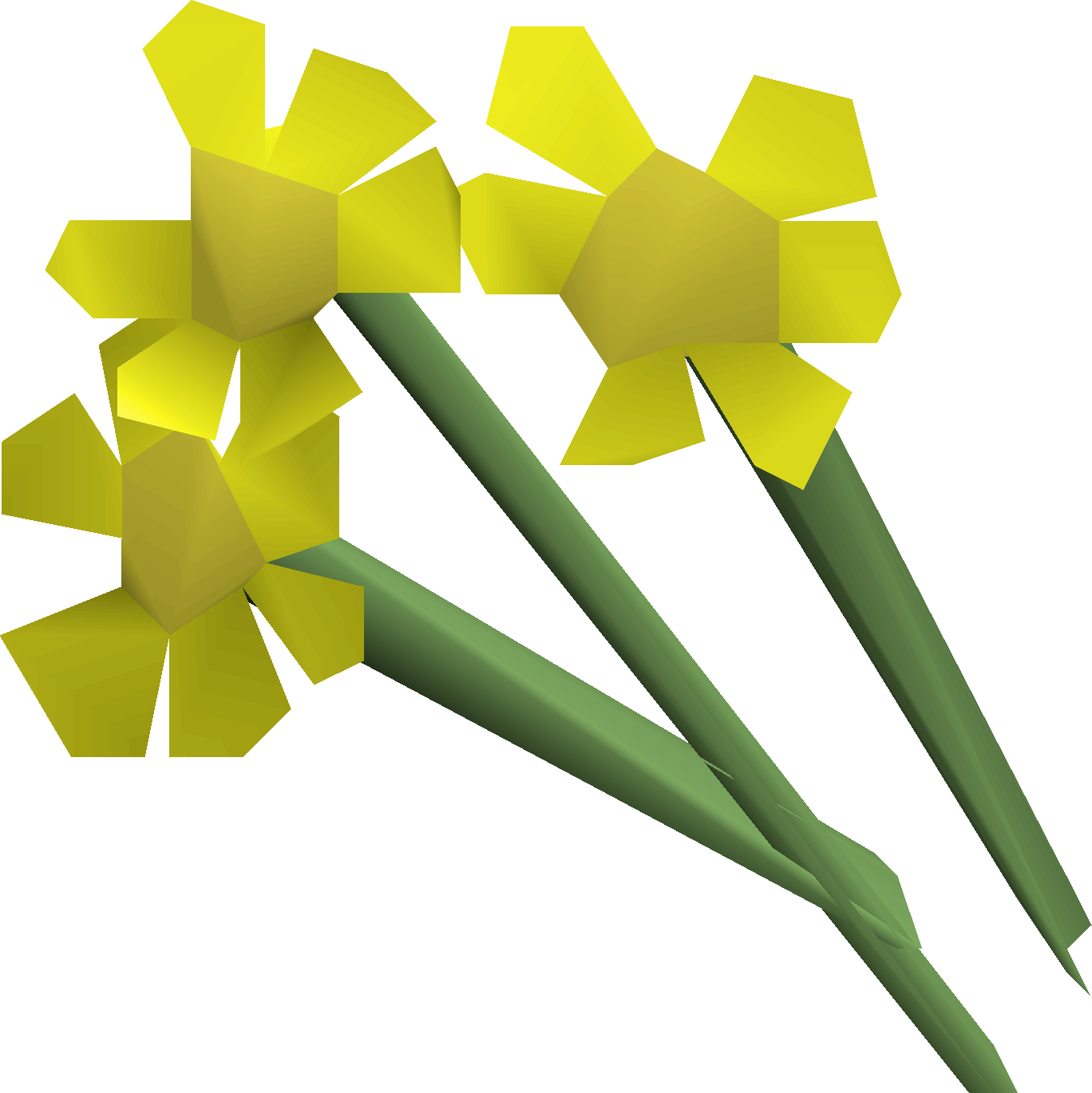 Yellow flowers