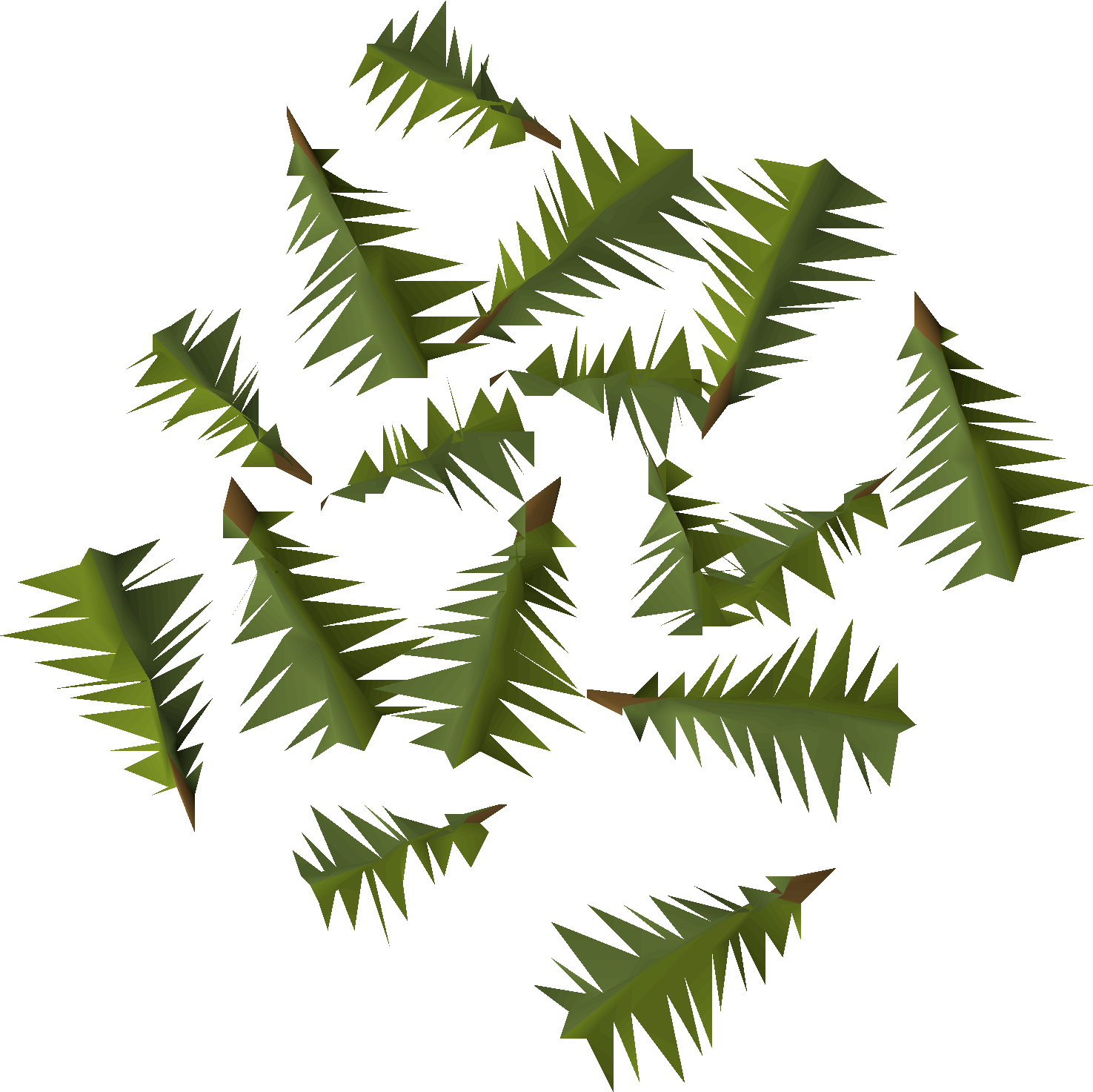 Yew leaves