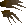 Bronze claws