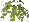 Bush