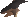 Ensouled abyssal head