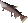 Leaping salmon