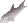 Raw trout