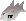 Raw tuna