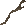Stick