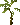 Tall plant